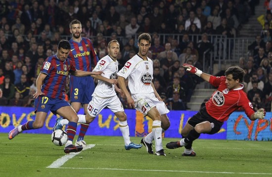 的卓越风采 的卓越风采